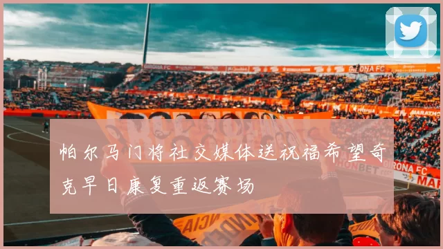 帕尔马门将社交媒体送祝福希望奇克早日康复重返赛场